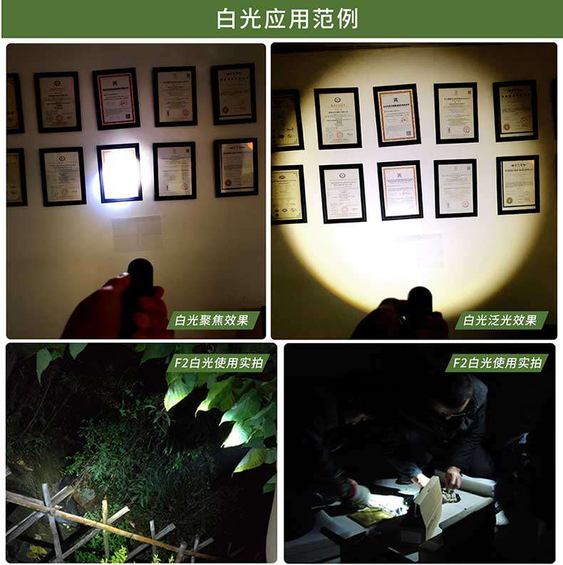 F2雙光手（shǒu）電新色係_08.jpg
