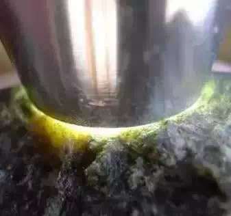 用什麽手電筒看種水可（kě）靠?