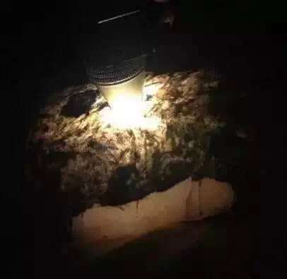 用什麽手電筒看種水可（kě）靠?