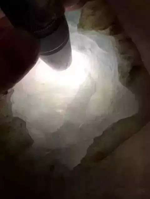 用什麽手電筒看種水可靠?