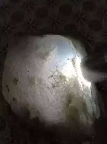用什麽手電筒看種水可靠?
