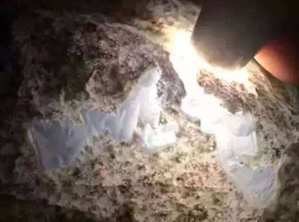 用什麽手（shǒu）電筒看種水可靠?