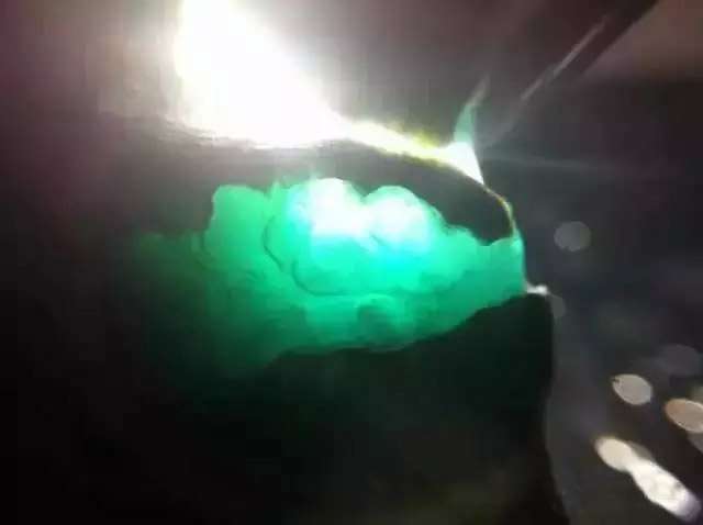 用什（shí）麽手電筒看種水可靠?