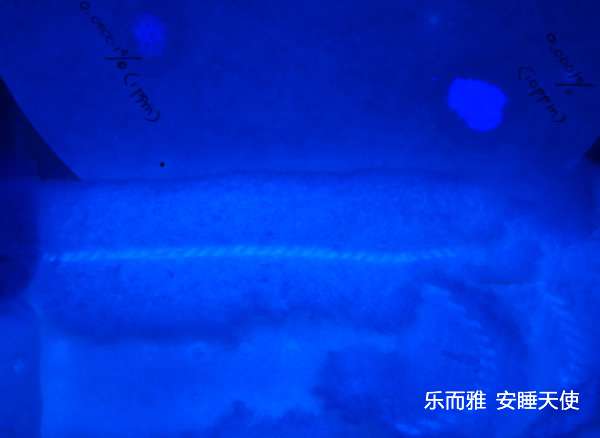 手電筒廠家