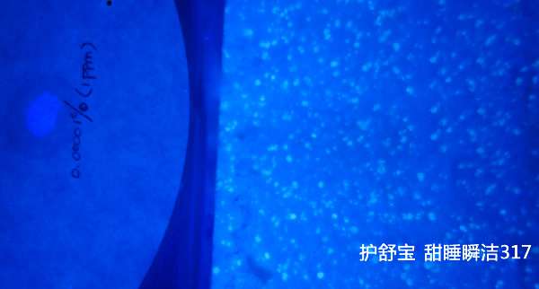 手（shǒu）電筒廠家